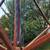 FREE wooden 8 arm, 9 foot umbrella frame 4 thumbnail