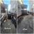 Junk Removal Services 3 thumbnail