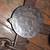 ONEIDA NEWHOUSE ATC 114 D LEG JAW TRAP 4 thumbnail