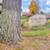 ONE MONTH FREE - Spacious 1B w Washer/Dryer & Garages - Pet Friendly 10 thumbnail