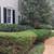 🪵RVA Pro Tree Services & Land Care LLC. Clean Ups, more🪵 4 thumbnail