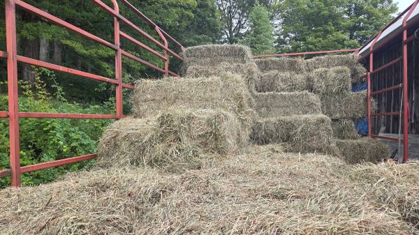 Mulch Hay 1