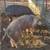 BREEDER PIGS 6 thumbnail