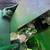 13ft John Deere Drill with Bermuda boxes 6 thumbnail