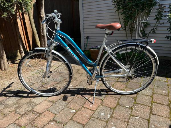 woman’s bicycle 1