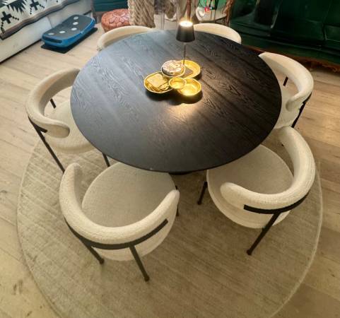 Modern Dining Set & Rug 1