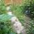 NEEDED ASAP: Hedge Trimming & Trash Cleanup 2 thumbnail