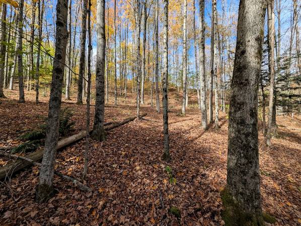9 acre RECREATIONAL PROPERTY with STREAM in Cohocton NY
$32,900
                        Cohocton, NY 9 acre RECREATIONAL PROPERTY with STREAM in Cohocton NY
$32,900
                        Cohocton, NY