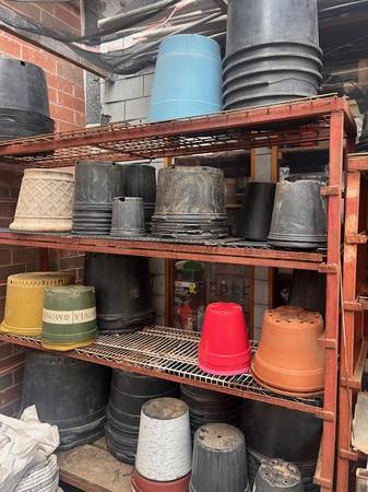 Assorted Outdoor Planters (all shapes + sizes) 1
