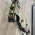 PSE Embark Compound Bow 2 thumbnail