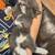 Kittens 5 thumbnail