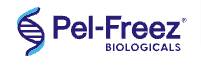 Quality Control Technician Biologicals Products 1