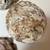 4 ABALONE SHELLS (PACIFICA) 13 thumbnail