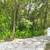 2-bedroom/2-bathroom Jacaranda! More space + huge rent discounts! 6 thumbnail