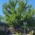 Furnished 2 Bdrm1B Apt/Fenced Backyard/Gated Community 4 thumbnail
