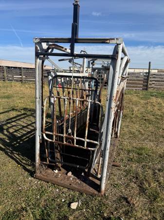 Cattle chute 1