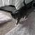 Cute cat 2 thumbnail