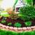 Professional Landscaping Service 5 thumbnail