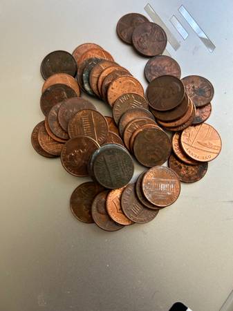 100 pennies for sale 1