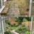 ¡Landscaping and maintenance! 5 thumbnail