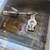 1976 Jarvis Newman 32’ lobster boat 19 thumbnail