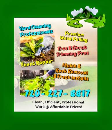 Yard Cleanups, Tree Work, Cement, Stucco, Fence Repair 🌲🌲 1