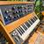 Moog Minimoog Model D Reissue 2016 – Mint – Iconic Analog Synth 3 thumbnail