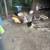 Chickens 1 thumbnail