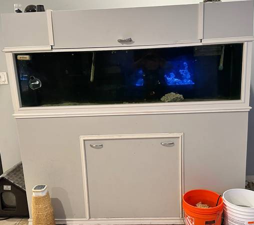 125 Gallon Saltwater Aquarium 1