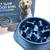 New Educational Dog Toys Anti Choke Dog Bowl. 4 thumbnail