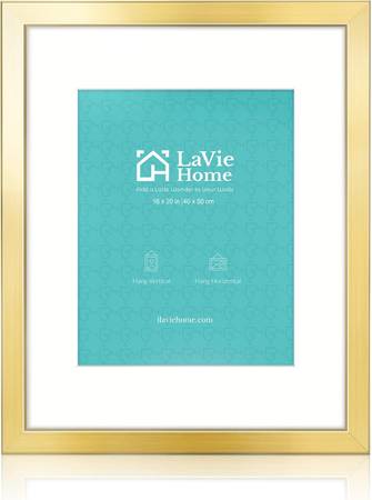 NEW 16 X 20 GOLD FRAME 1