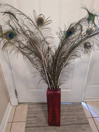 Peacock feathers in a tall red glass container 1