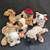 Beanie babies, 6, new, Wrinkles, Huggins, Jinglepup, Whiskers, Pugsly, 17 thumbnail