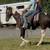 Big Stout Mare 9 thumbnail