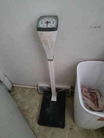 Scale 1