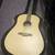 Seagull Excursion Walnut SG Dreadnought isys T 2010s 7 thumbnail