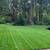 🌳Valley Yard- Lawn and Yard Care🌳 7 thumbnail