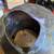 USN DIVING HELMET     8-24-41  Great display piece 7 thumbnail