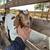 Boer Goat’s & sheep’s 12 thumbnail