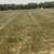 3 Sons Landscaping (Lexington, Nicholasville, Danville, Versailles) 5 thumbnail