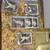 Sports card collection 11 thumbnail