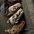 Feeder Piglets 3 thumbnail