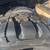 Advance GL73 14.00R20 Radial Tire New Old Stock Virgin Rubber 3 thumbnail