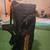 Golf Bag 1 thumbnail