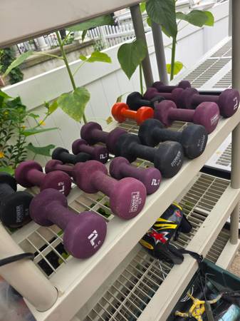 Dumbells 1