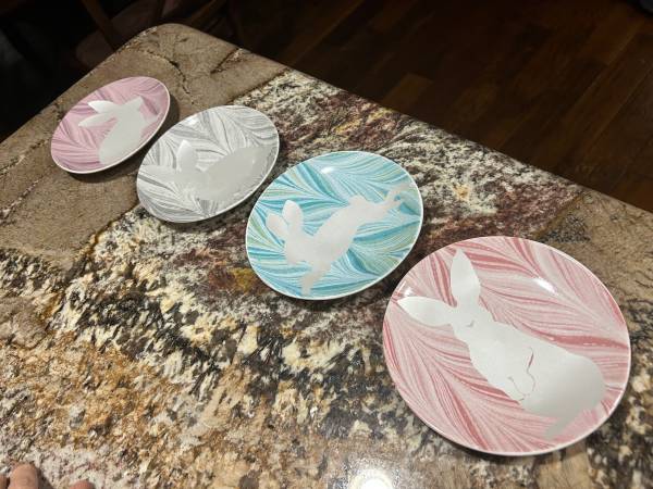 Set of 4 bunny plates:dishes 1