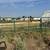 Used Cattle Panels 1 thumbnail