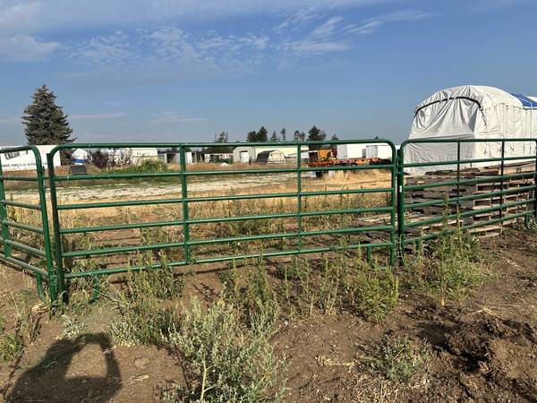 Used Cattle Panels 1