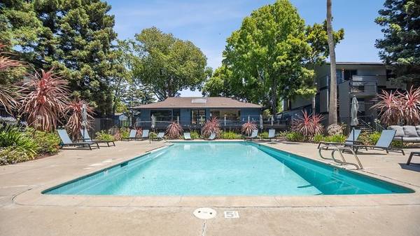 $2,750 / 2br - 850ft2 - Freshly Renovated Move In Ready! Your First Month is FREE! Tour Today! (san leandro)63657846433153120