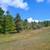 Land for sale 5 thumbnail